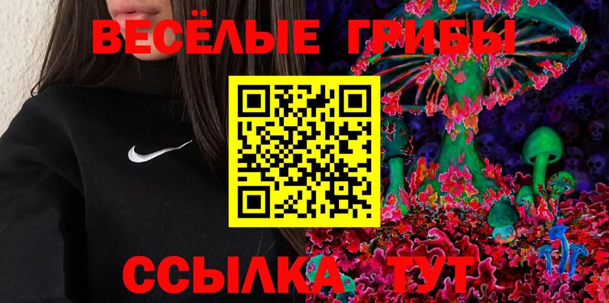 Гулькевичи  наркота  Вход с VPN  Галлюциногенные грибы Magic Shrooms 